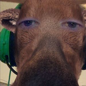 Meet your Posher, Steven